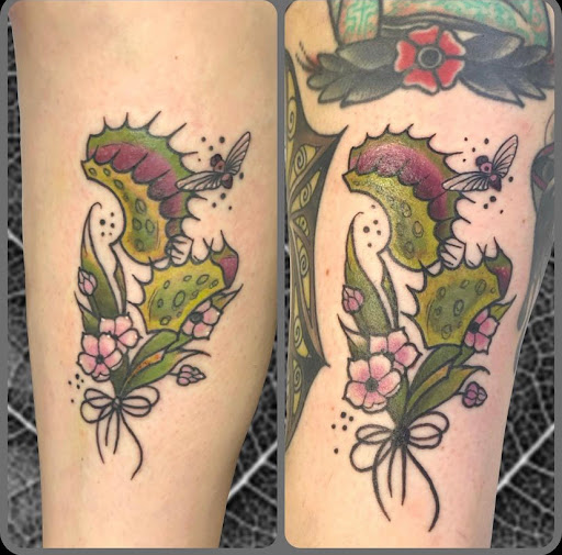 Explore spartan tattoo ideas, creative tattoo ideas in Mobile, available at Old Familiar Tattoo Company