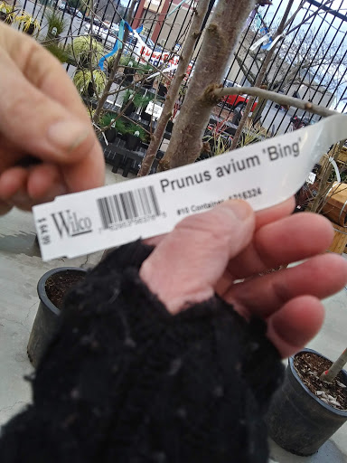 Animal Feed Store «Wilco Farm Store», reviews and photos, 2950 S Santiam Hwy, Lebanon, OR 97355, USA