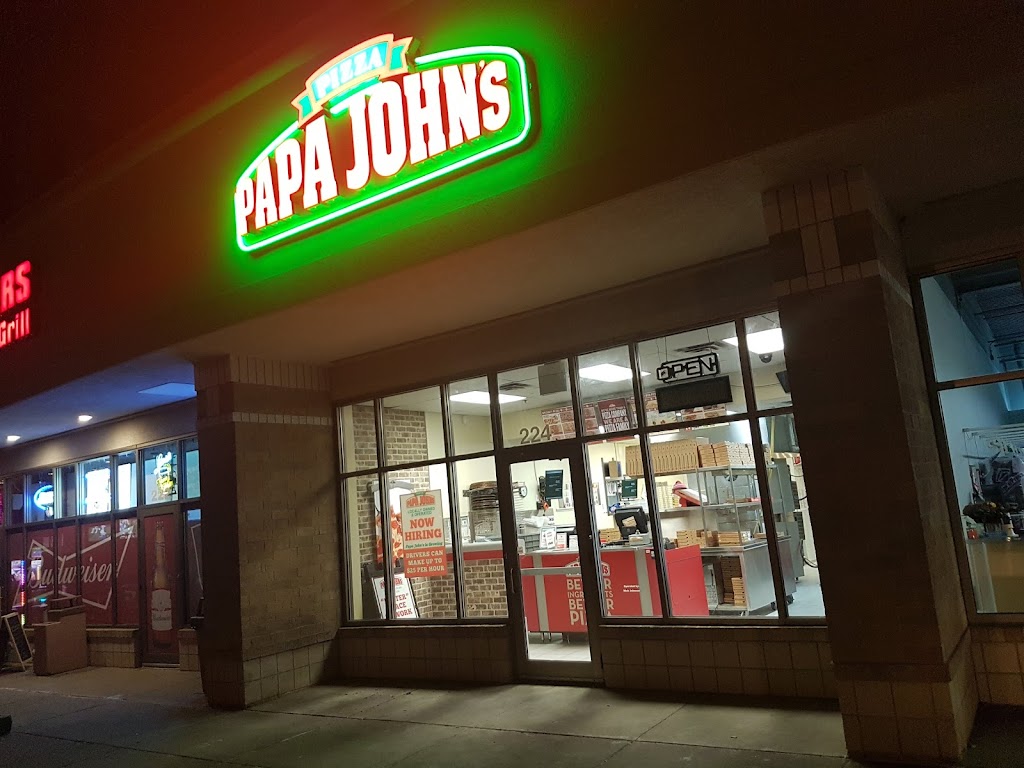 Papa Johns Pizza 55318