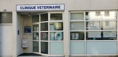 Cabinet Vétérinaire médico-chirurgical Ty Leoned à Quimper