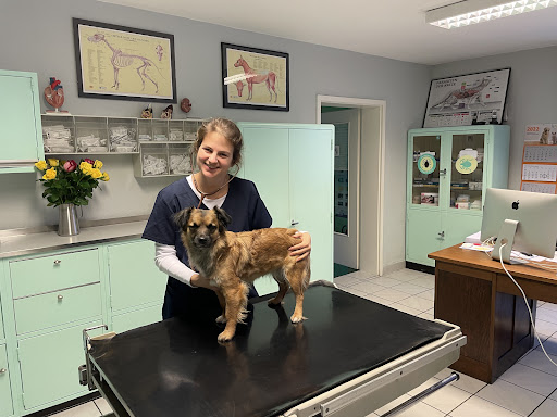 Small veterinary practice Dr.med.vet. Verena Haubrich-Nöhren unter Hildesheim, 