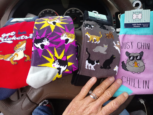 Pet Supply Store «PetSmart», reviews and photos, 1900 W International Speedway Blvd, Daytona Beach, FL 32114, USA