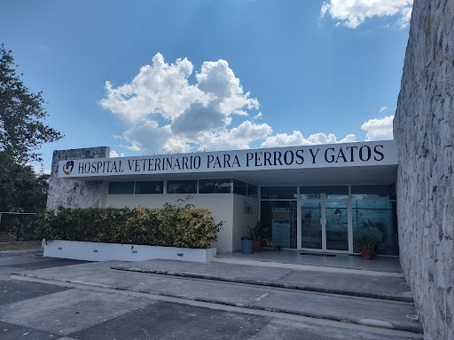 Hospital Veterinario para Perros y Gatos UADY