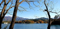 桜ヶ池造園