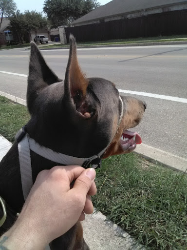 Golf Club «The Republic Golf Club», reviews and photos, 4226 SE Military Dr, San Antonio, TX 78222, USA