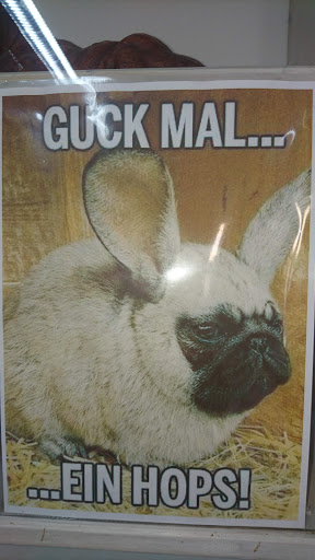 Tierärztliche Herstellungsgemeinschaft unter Ellwangen, Baden Württemberg