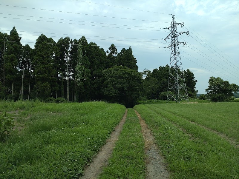 大館跡（本丸）