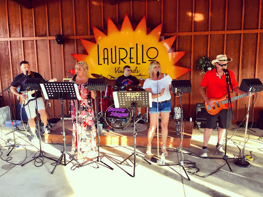 Winery «Laurello Vineyards», reviews and photos, 4573 OH-307, Geneva, OH 44041, USA