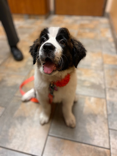 16736 Oak Park Ave, Tinley Park, IL 60477, USA