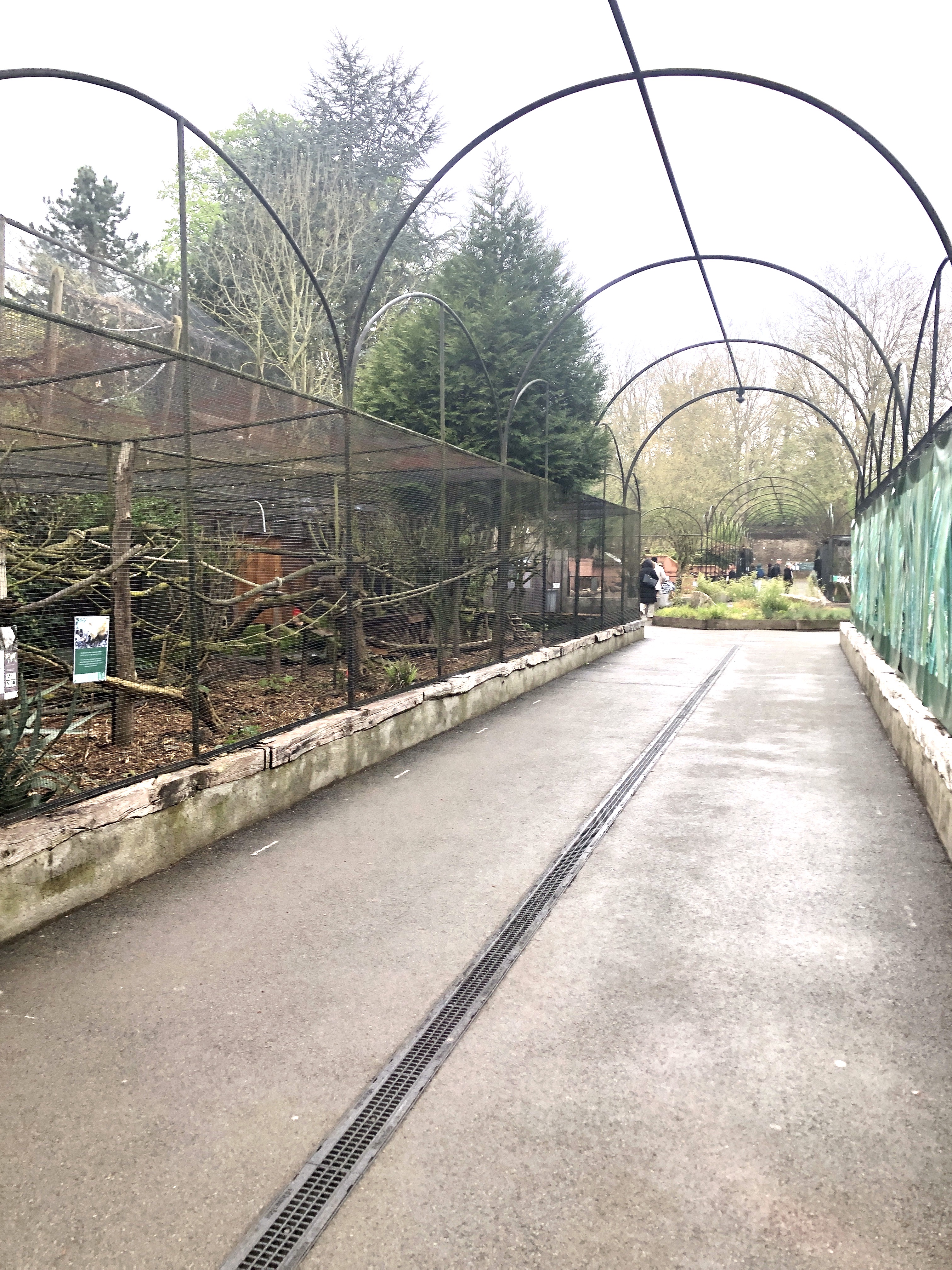 Photo n° 4 de l'avis de R. fait le 25/04/2023 à 06:22