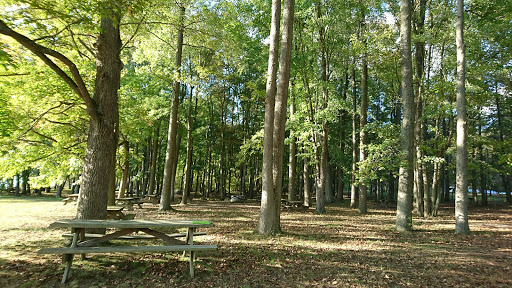 Recreation Center «Go Ape Zip Line & Treetop Adventure - Lums Pond State Park», reviews and photos, 1042 Howell School Rd, Bear, DE 19701, USA