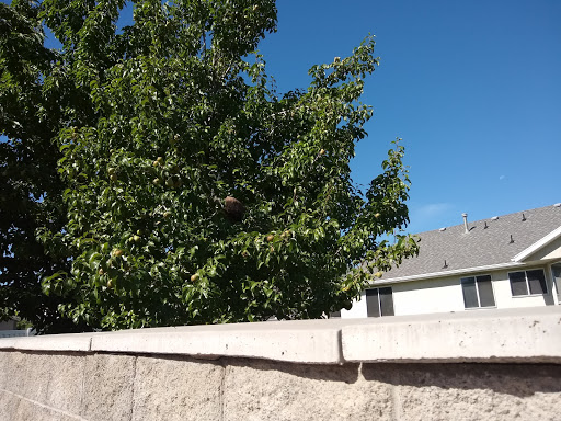 Golf Club «Mountain View Golf Course», reviews and photos, 2400 Gardner Ln, West Jordan, UT 84088, USA