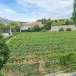 Photo n°3 de l'avis de Maria.l fait le 11/09/2023 à 10:47 sur le  Douro Valley - Casa Vale do Douro à Lamego