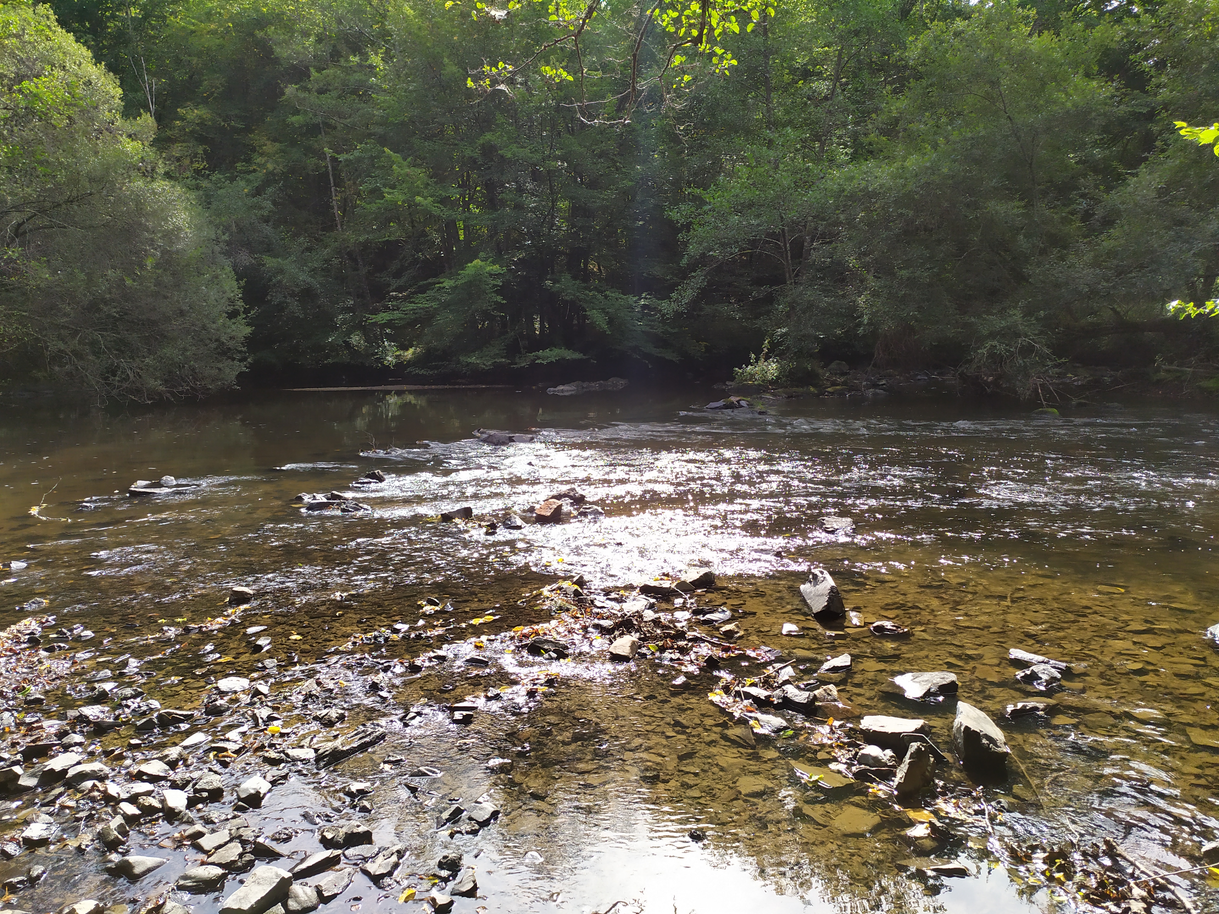 Photo n° 3 de l'avis de Margaret.o fait le 11/09/2021 à 17:47