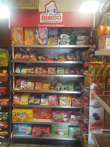 Grocery Store «La Tapatia», reviews and photos, 609 24th St SE, Ruskin, FL 33570, USA