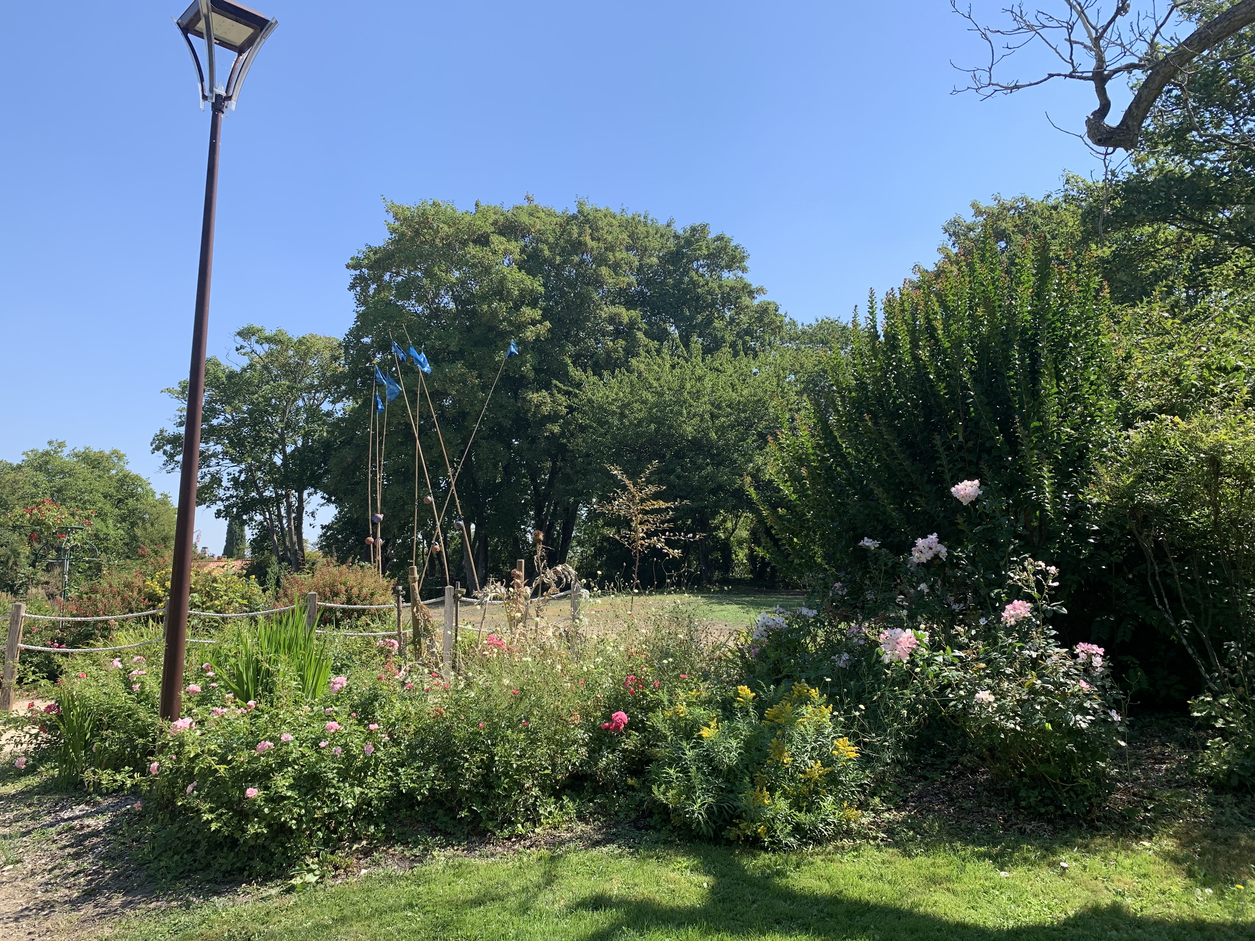 Photo n° 2 de l'avis de Bastien. fait le 09/08/2022 à 10:32