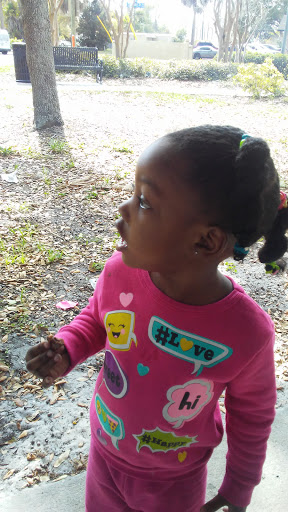 Park «Cherry Harris Park», reviews and photos, 1141 Beckett St, Clearwater, FL 33755, USA