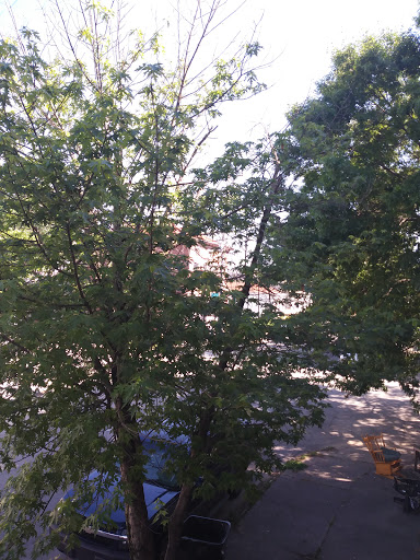 Farm «Idlewild Butterfly Farm», reviews and photos, 1100 Logan St, Louisville, KY 40204, USA