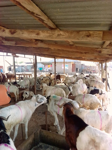 BB UMAR LIVESTOCK MARKET, Nigeria, Shopping Mall, state Kogi