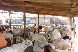 BB UMAR LIVESTOCK MARKET image