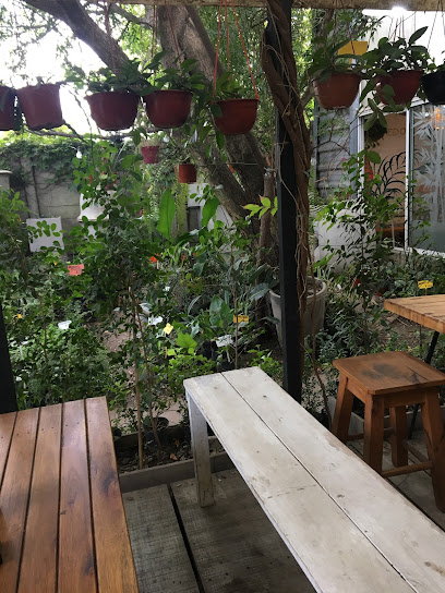 Arboredo Jardinería Vivero Café