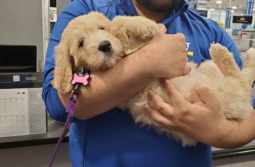 Electronics Store «Best Buy», reviews and photos, 17200 Mercantile Blvd, Noblesville, IN 46060, USA