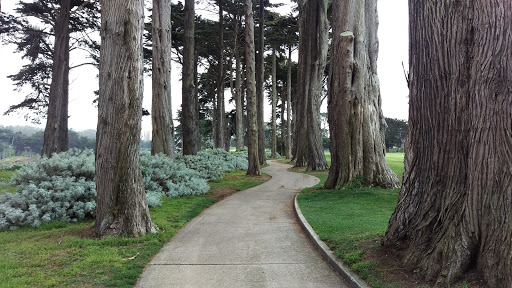 Golf Course «TPC Harding Park», reviews and photos, 99 Harding Rd, San Francisco, CA 94132, USA