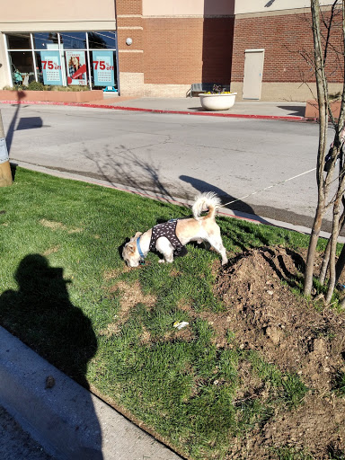 Pet Supply Store «PetSmart», reviews and photos, 860 NE Mall Blvd, Hurst, TX 76053, USA