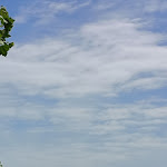 Photo n°5 de l'avis de Valentina.u fait le 22/06/2023 à 04:41 sur le  Villa Barleben am See à Konstanz