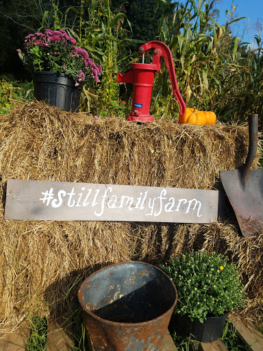 Tourist Attraction «Still Family Farm, LLC», reviews and photos, 5630 Macland Rd, Powder Springs, GA 30127, USA