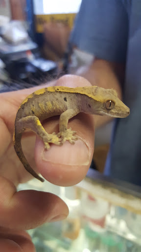 Pet Store «Mike Pet Center LLC», reviews and photos, 133 NJ-35, Neptune City, NJ 07753, USA