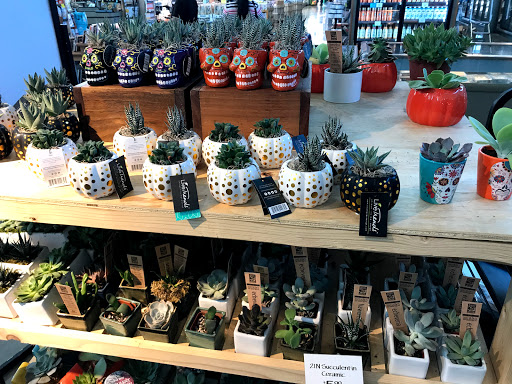 Grocery Store «Whole Foods Market», reviews and photos, 15900 Southwest Fwy, Sugar Land, TX 77478, USA