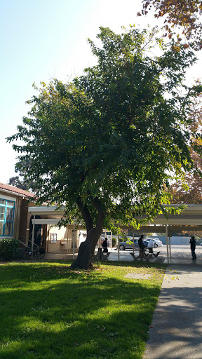 Community Center «Willow Glen Community & Senior Center», reviews and photos, 2175 Lincoln Ave, San Jose, CA 95125, USA
