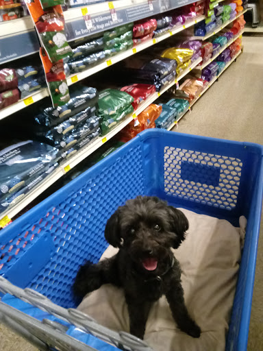 Pet Supply Store «PetSmart», reviews and photos, 263 Midway Blvd, Elyria, OH 44035, USA
