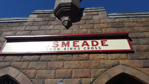 Roller Coaster «Dragon Challenge», reviews and photos, 6000 Universal Blvd, Orlando, FL 32819, USA