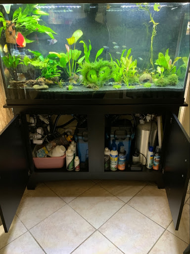 Pet Store «Pet World», reviews and photos, 891 Harriman Pl, San Bernardino, CA 92408, USA