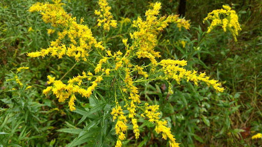 Nature Preserve «Tom S Cooperrider-Kent Bog State Nature Preserve», reviews and photos, 1028 Meloy Rd, Kent, OH 44240, USA