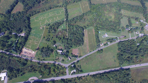 Tourist Attraction «Sussex County Sunflower Maze», reviews and photos, 101 Co Rd 645, Sandyston, NJ 07826, USA