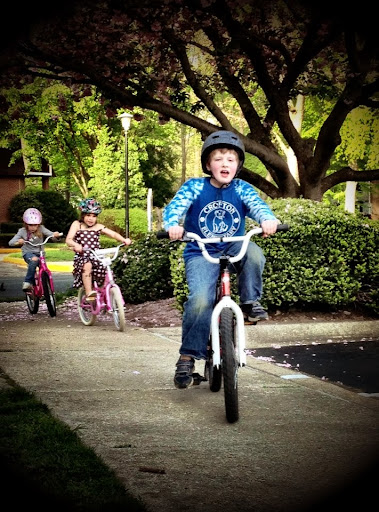 Bicycle Store «Family Bike Shop», reviews and photos, 1286 MD-3, Crofton, MD 21114, USA