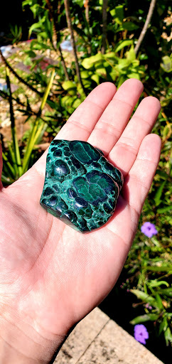 Herb Shop «Health Food Center of winter haven, Inc», reviews and photos, 632 1st St S, Winter Haven, FL 33880, USA