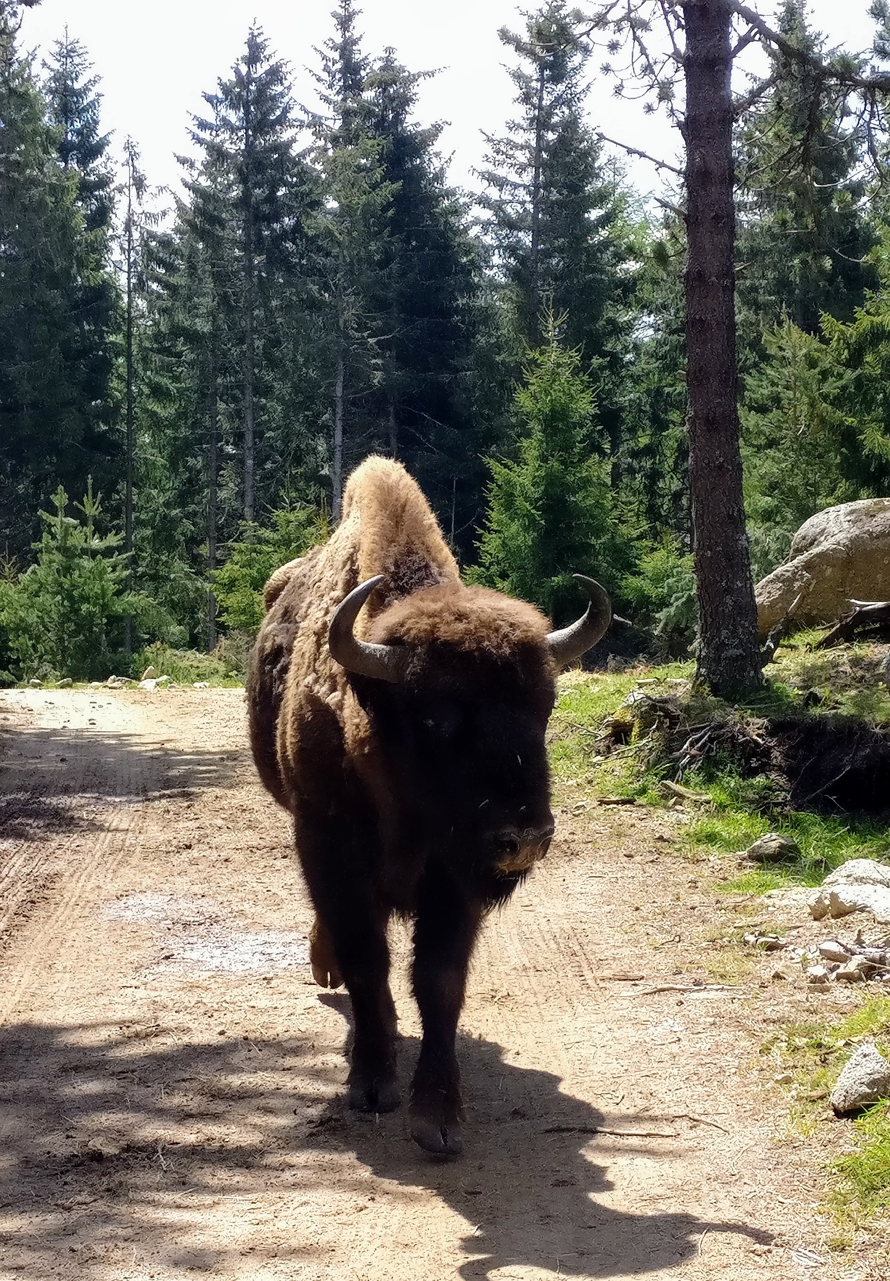 Photo n° 5 de l'avis de Nadège.A fait le 20/05/2018 à 16:45