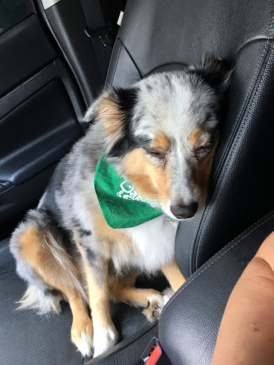 Park «Ashford Park», reviews and photos, 2980 Redding Rd NE, Brookhaven, GA 30319, USA