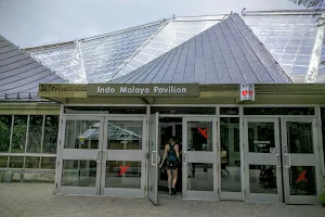 Indo Malaya Pavilion image