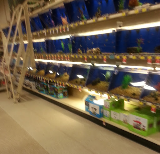 Pet Supply Store «PetSmart», reviews and photos, 160 Alewife Brook Pkwy, Cambridge, MA 02138, USA