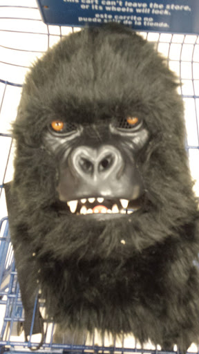 Shopping Mall «Sussex County Mall», reviews and photos, 15 Hampton House Rd, Newton, NJ 07860, USA