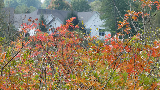 Nature Preserve «Jackson Bog State Nature Preserve», reviews and photos, 7984 Fulton Dr NW, Massillon, OH 44646, USA