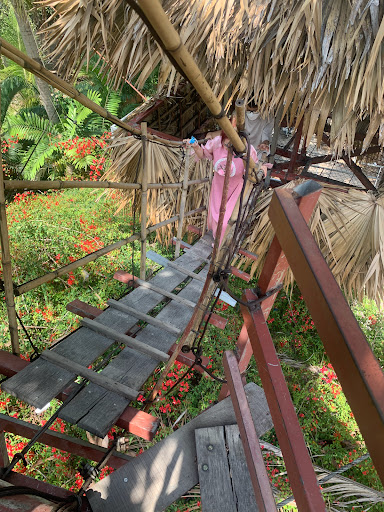 Top 20 mẫu cửa hàng đẹp Huyện Tịnh Biên An Giang 2022