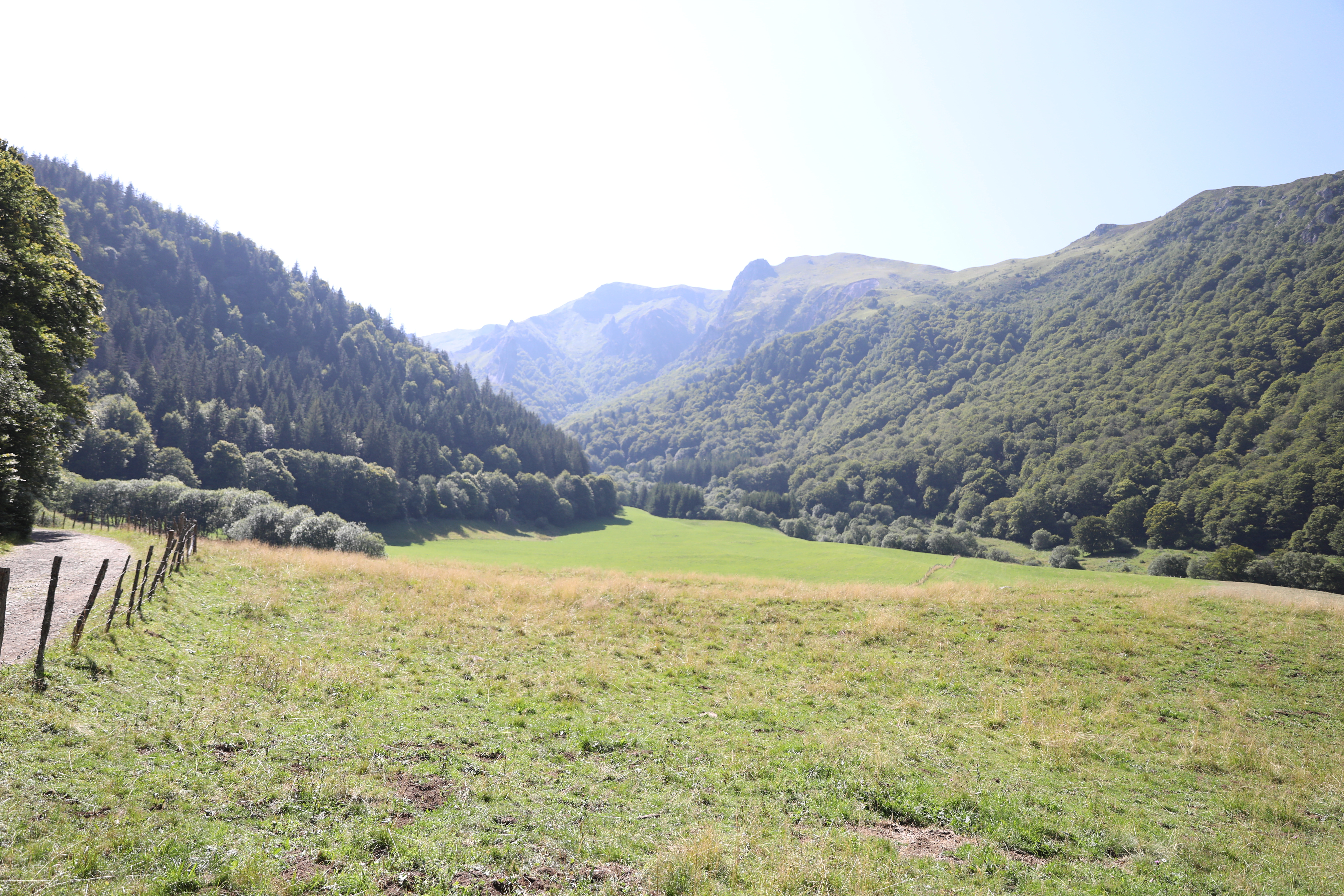 Photo n° 11 de l'avis de Michel.o fait le 17/08/2021 à 16:52