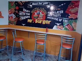 Mr. Burger