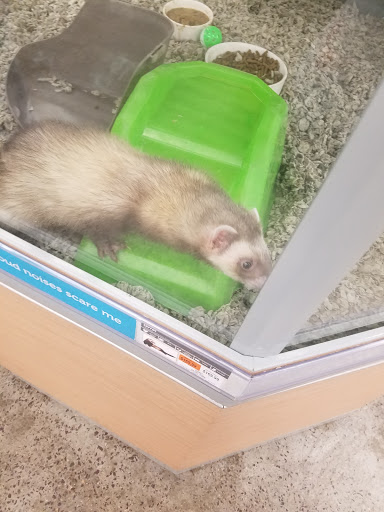 Pet Supply Store «Petco Animal Supplies», reviews and photos, 339 Squire Rd #108, Revere, MA 02151, USA